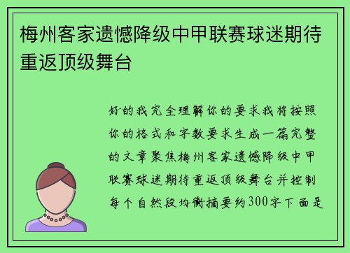 梅州客家遗憾降级中甲联赛球迷期待重返顶级舞台 梅州客家遗憾降级中甲联赛球迷期待重返顶级舞台